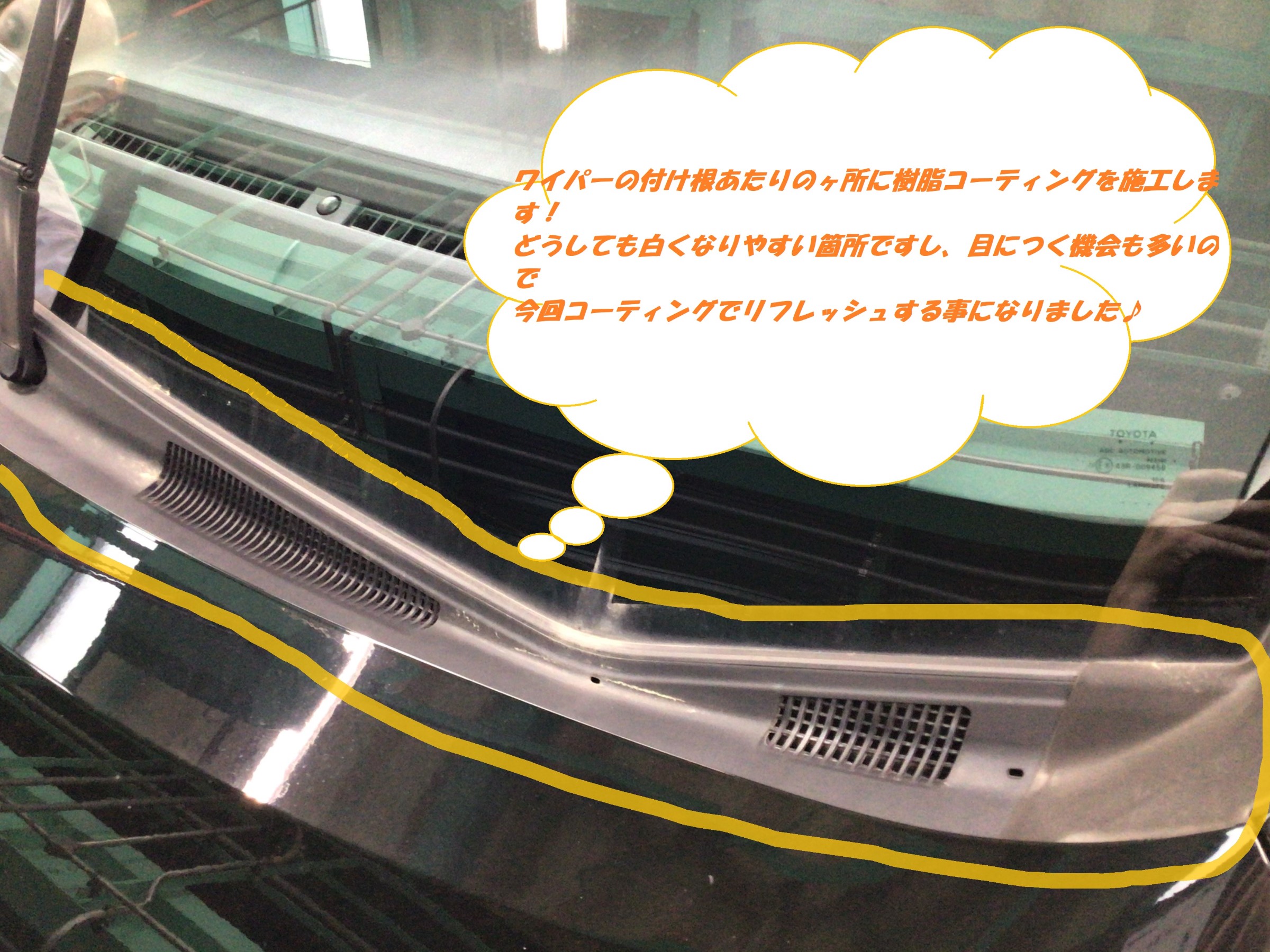 スタッフ撮影分