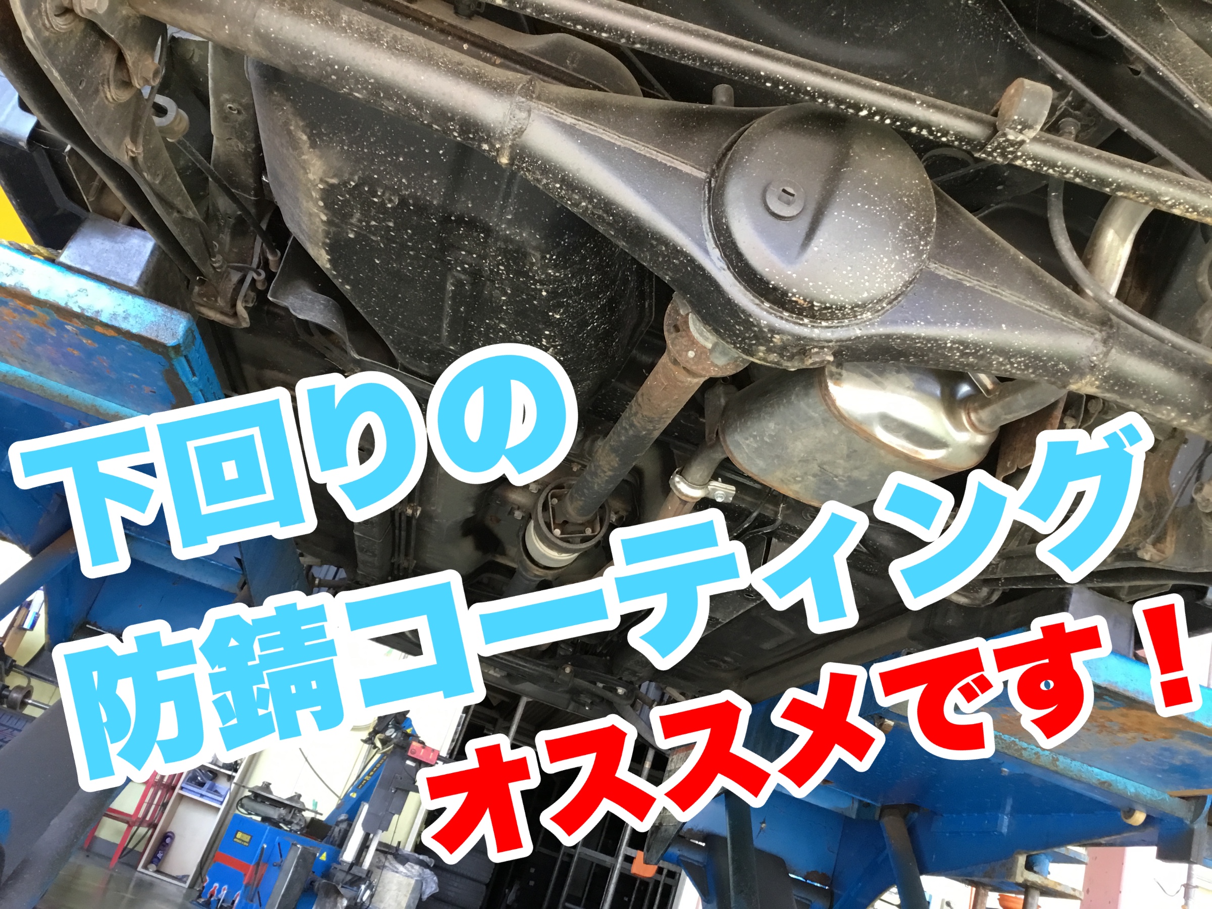 スタッフが撮影加工した画像