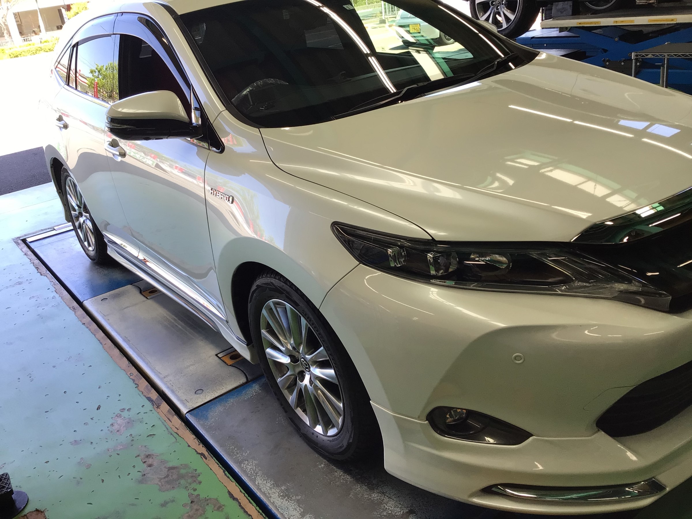 スタッフ撮影分