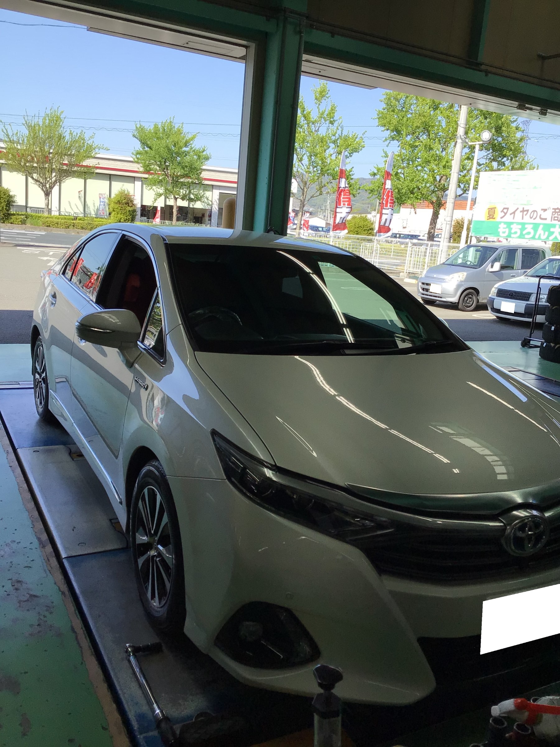 スタッフ撮影分