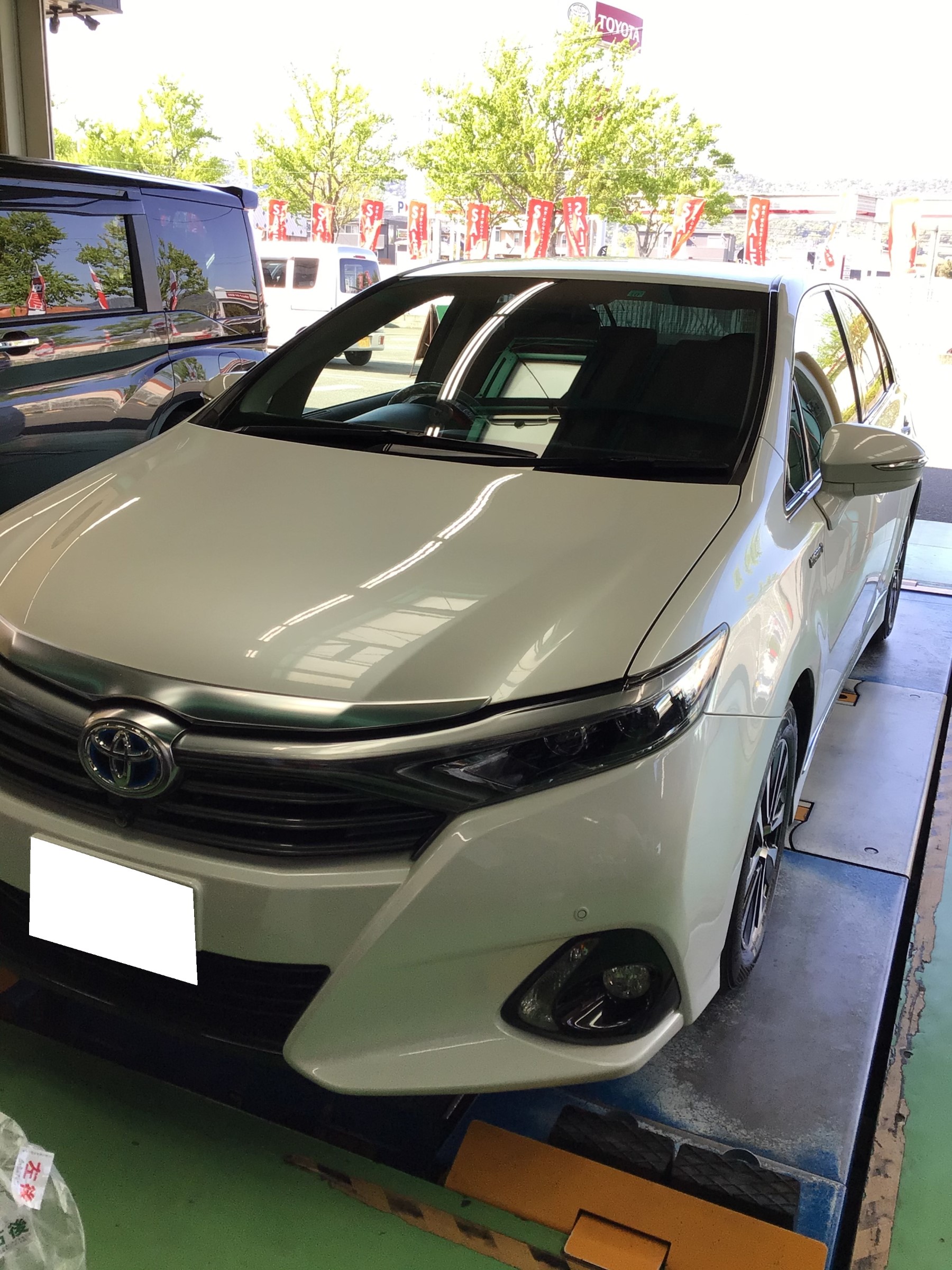 スタッフ撮影分