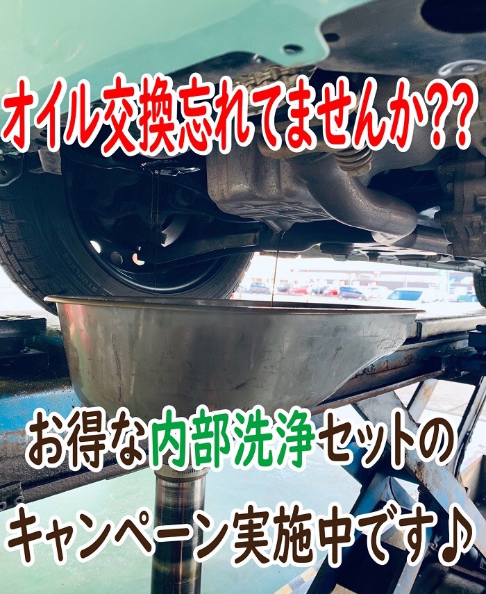スタッフが撮影加工した画像