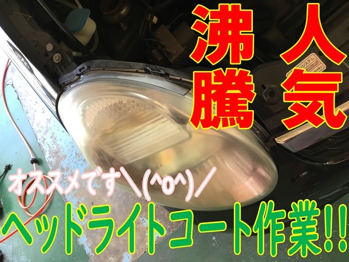 スタッフが撮影加工した