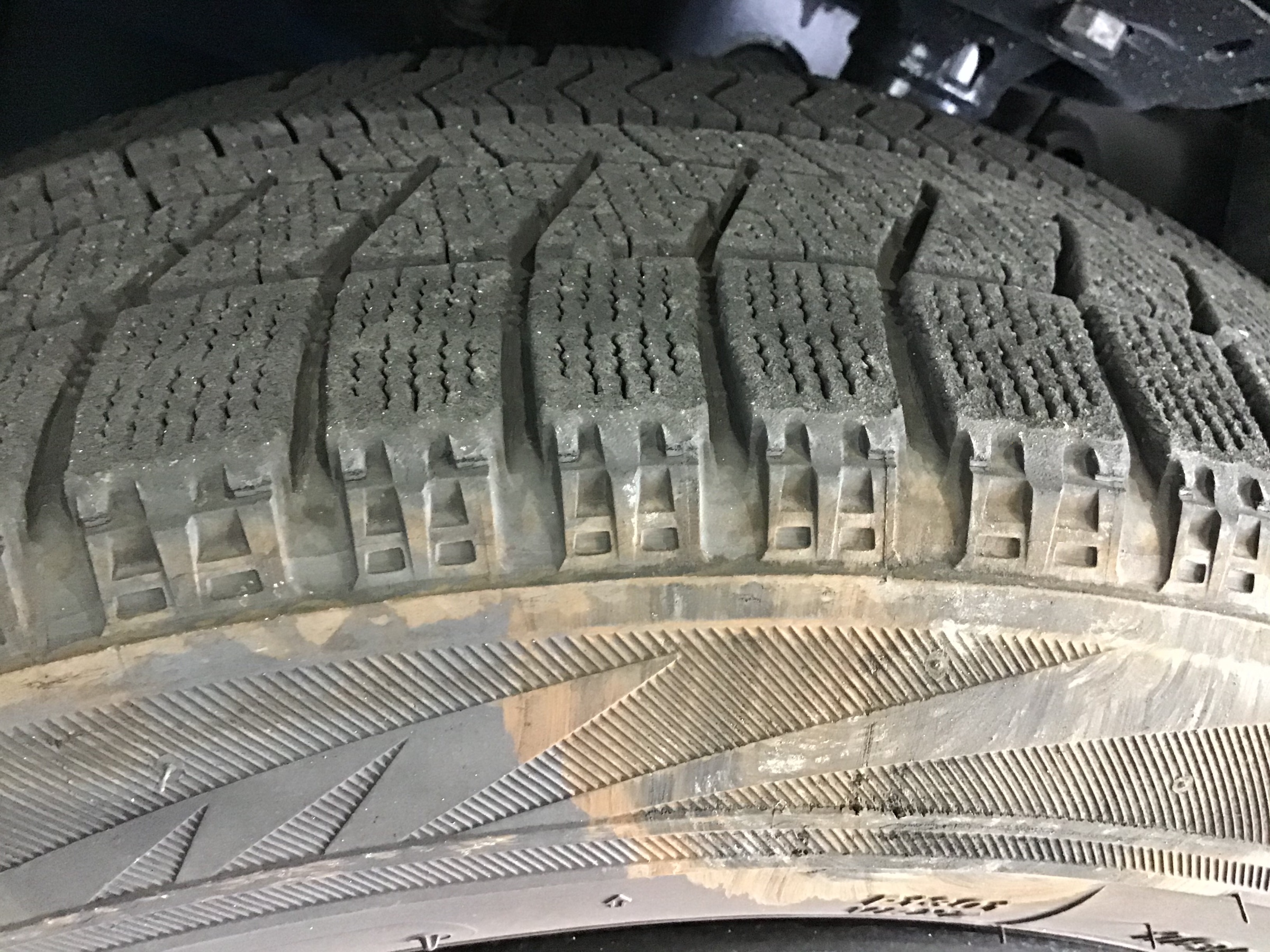スタッフ撮影画像