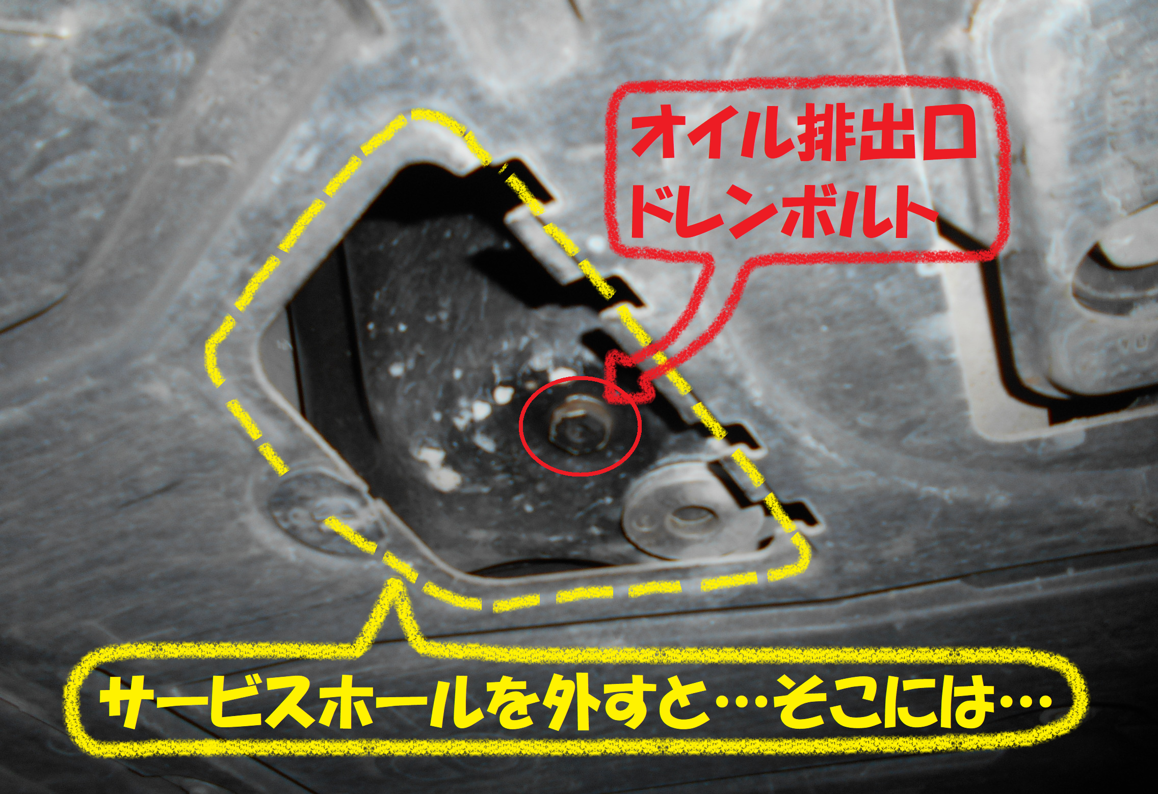 ＢＭＷ：Ｅ91】 メンテナンス作業「オイル＋オイルフィルター交換 その 