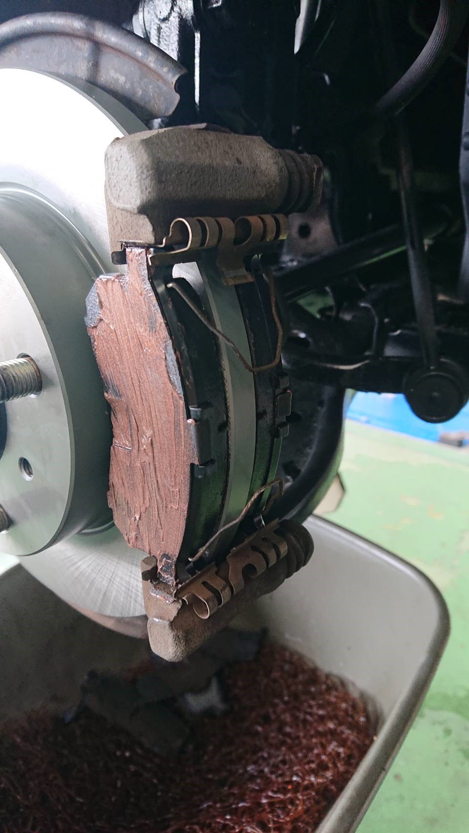 スタッフが撮影した写真です