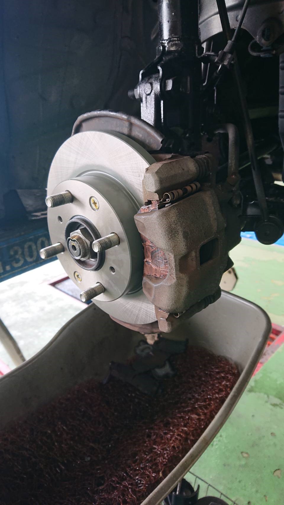 スタッフが撮影した写真です