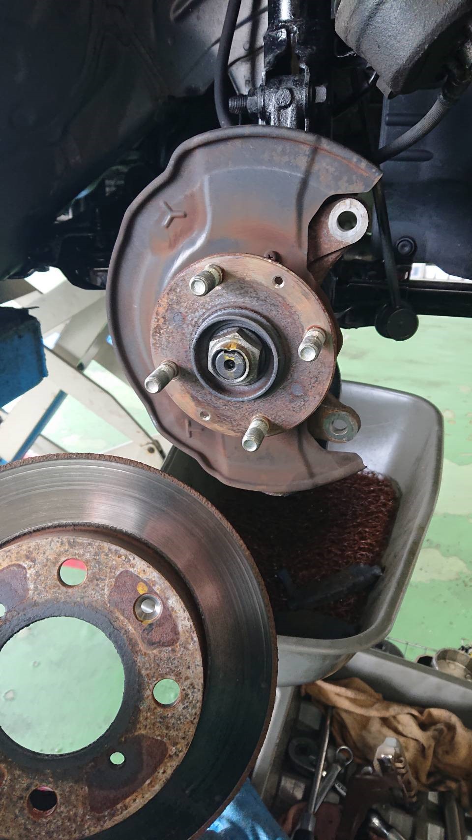 スタッフが撮影した写真です