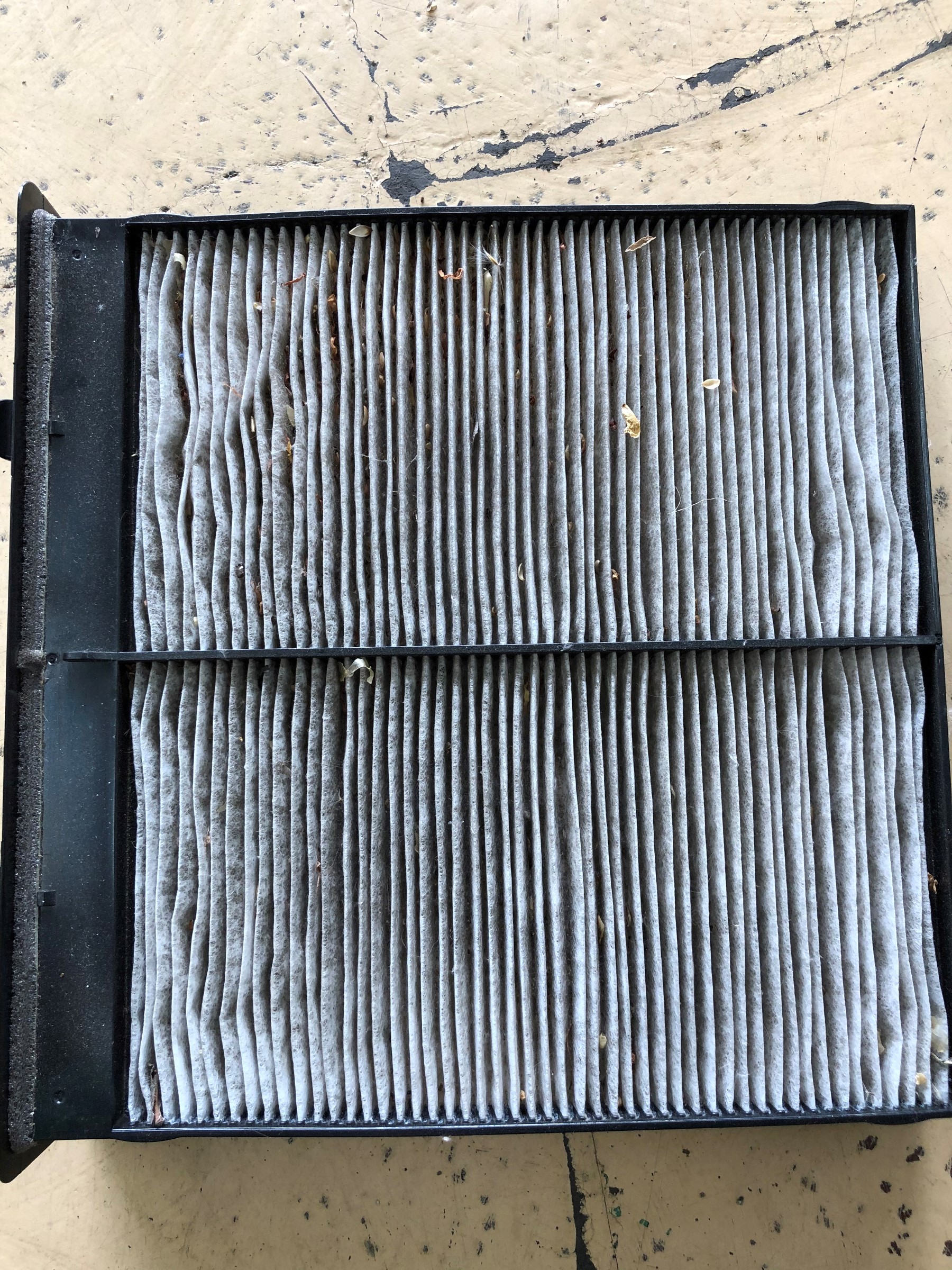 エアコンを使う前に点検 メンテナンス商品 その他 無料安全点検 スタッフ日記 タイヤ館 こせ タイヤからはじまる トータルカーメンテナンス タイヤ館グループ