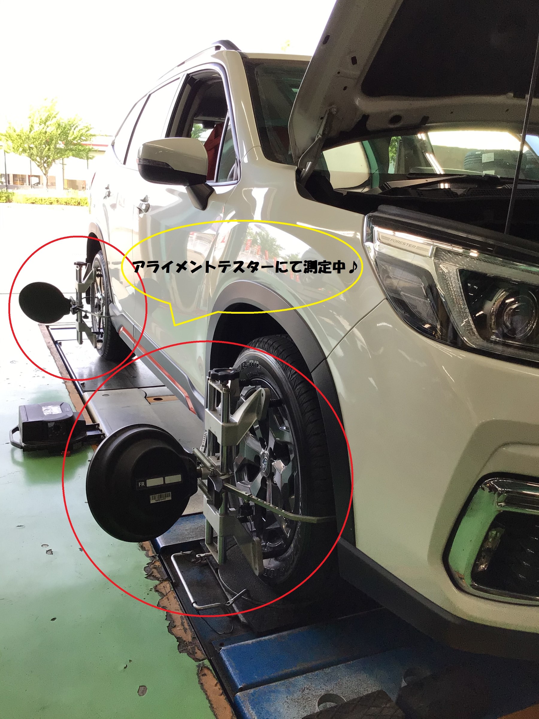 スタッフ撮影分