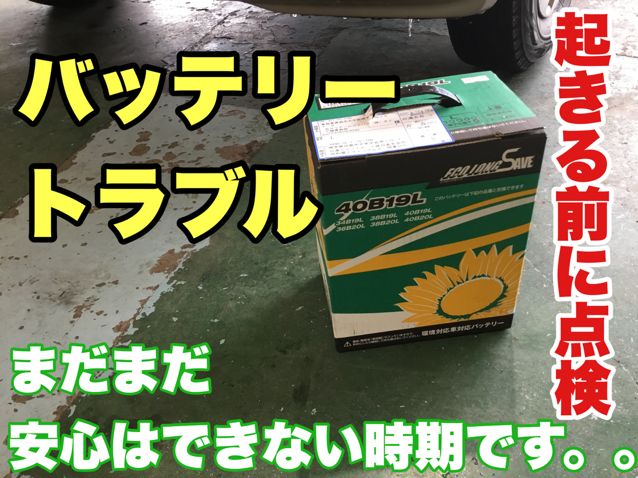 スタッフが撮影加工した画像