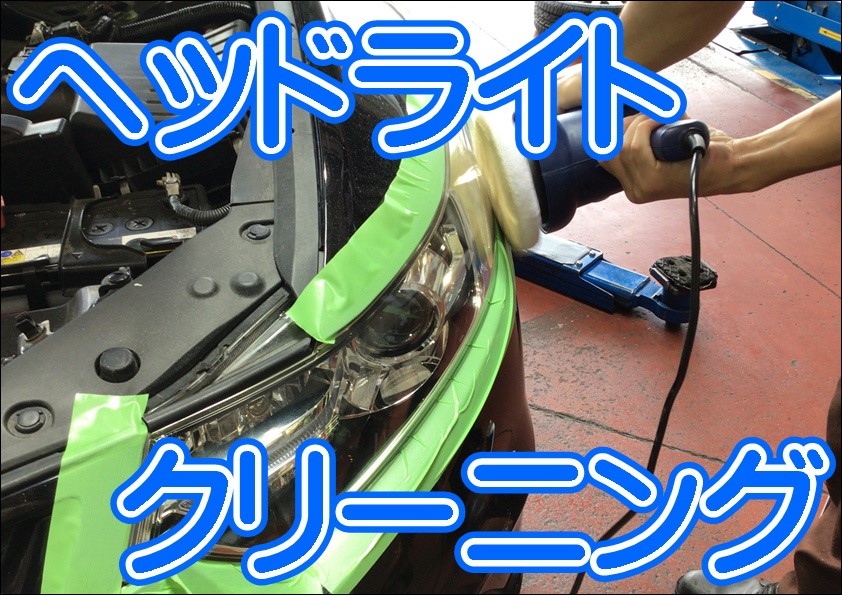 スタッフ撮影写真