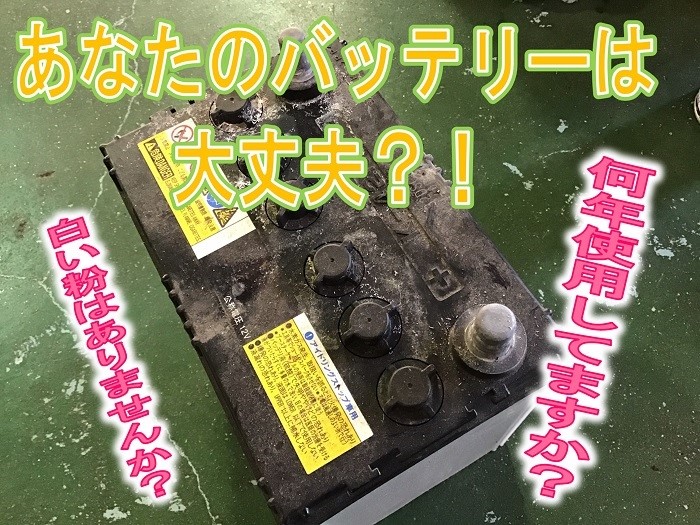 スタッフが撮影加工した画像