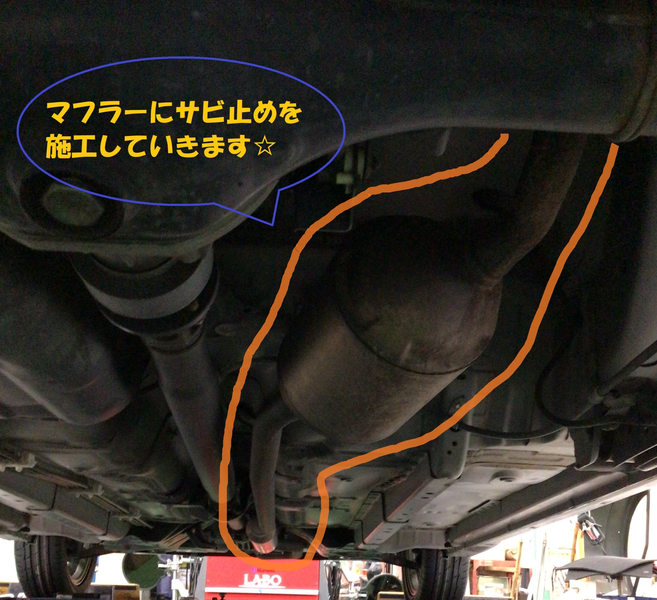 スタッフ撮影分