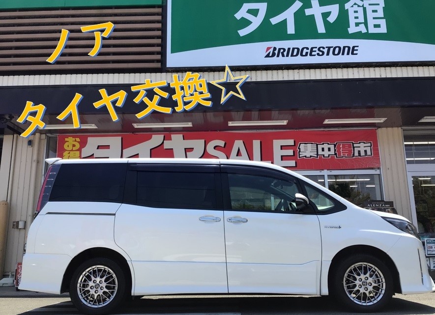 スタッフ撮影分