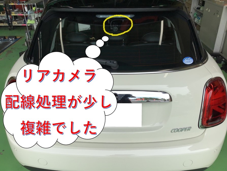 スタッフ撮影分