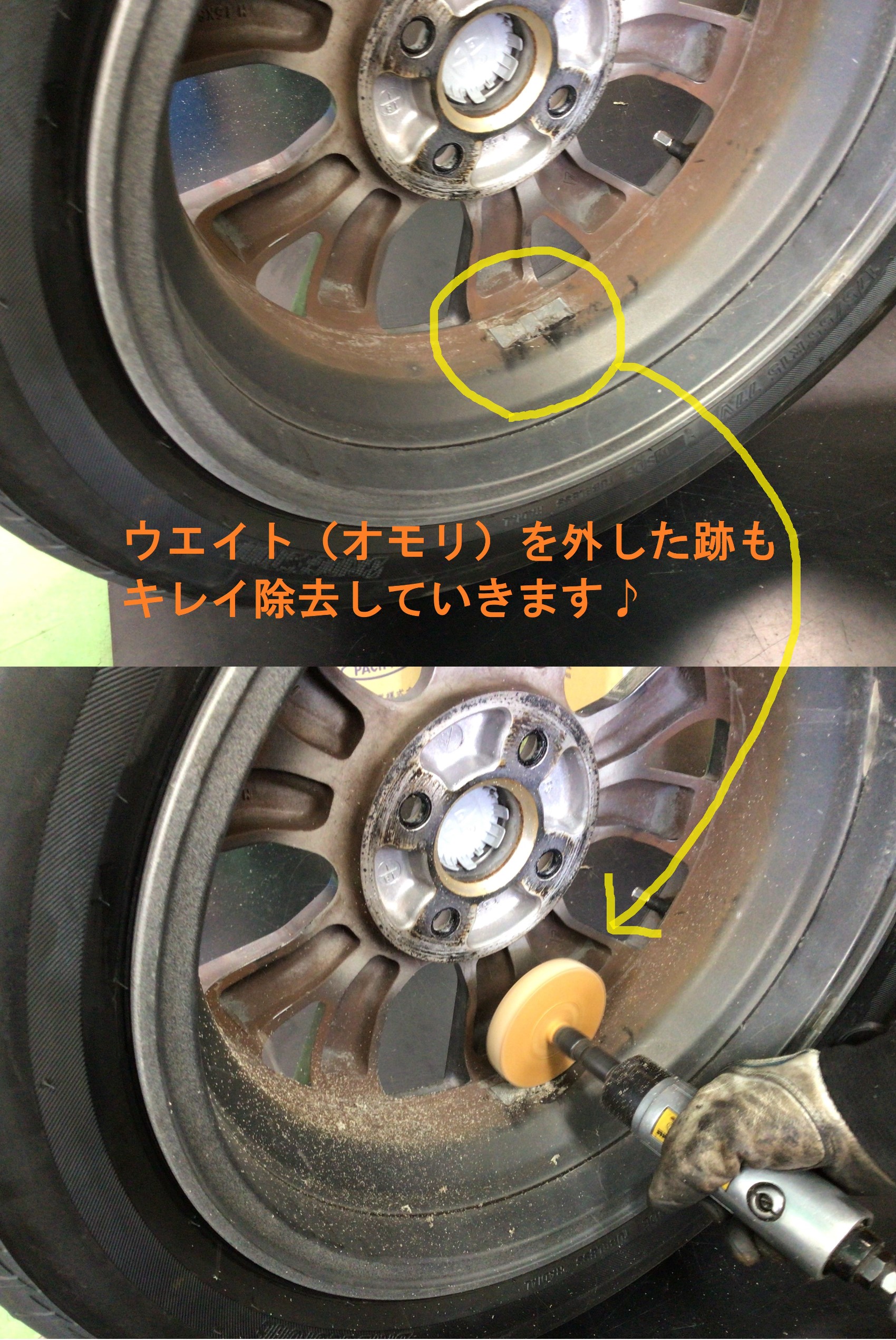 スタッフ撮影分