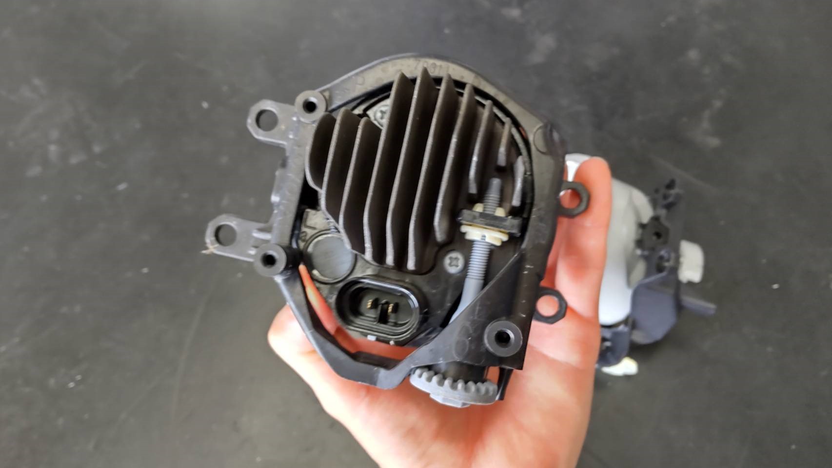 スタッフが撮影した写真です