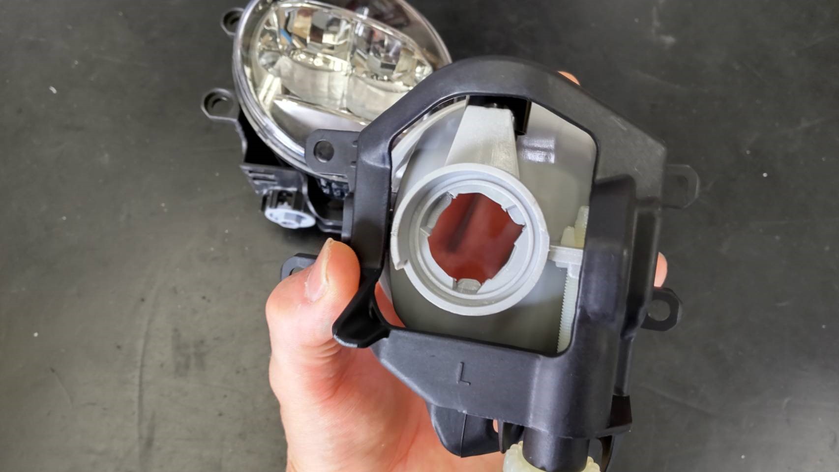 スタッフが撮影した写真です