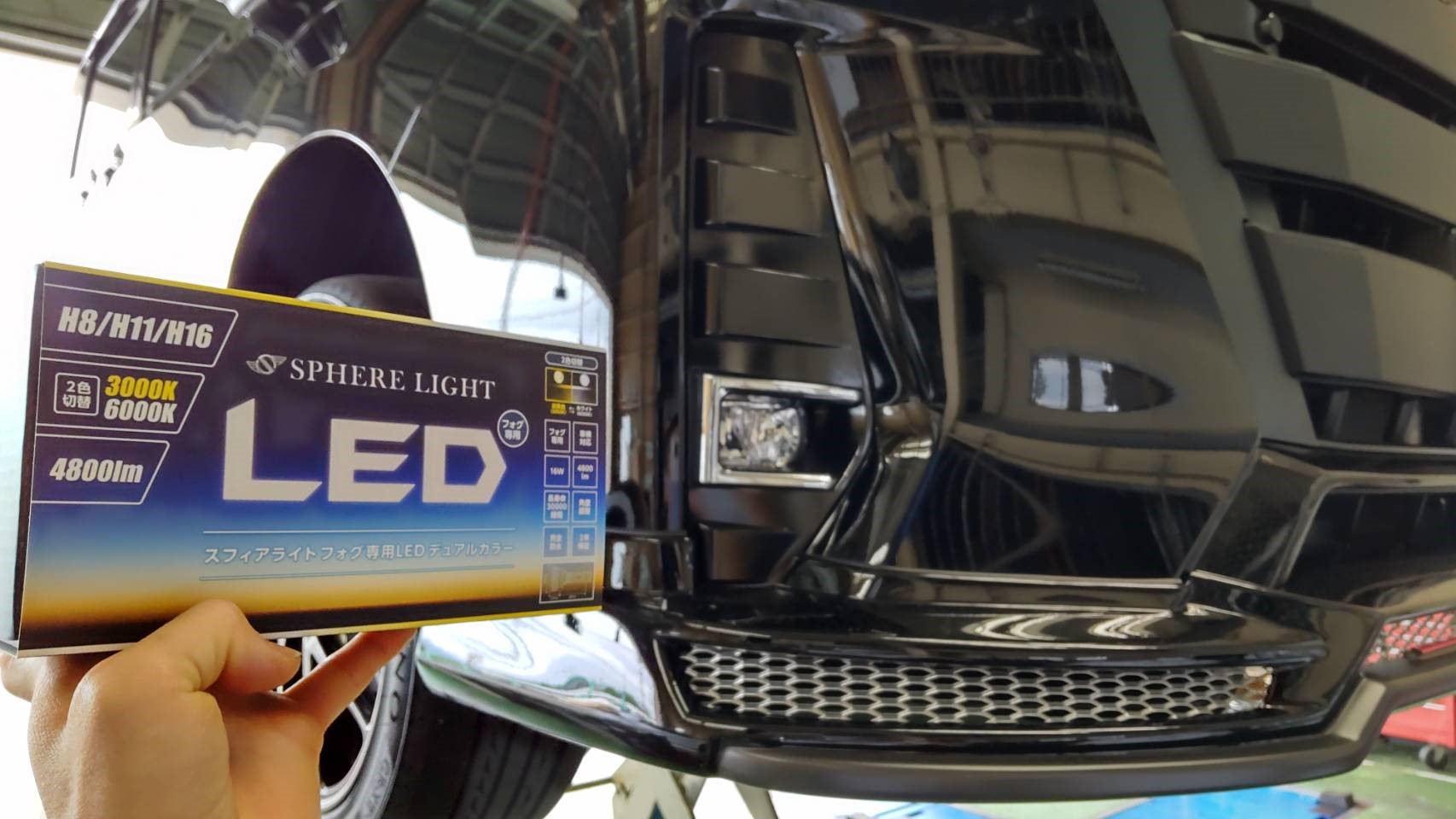 スタッフが撮影した写真です