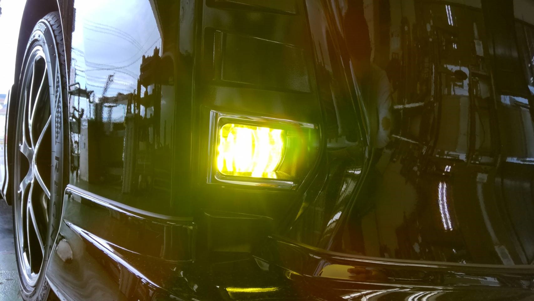 スタッフが撮影した写真です