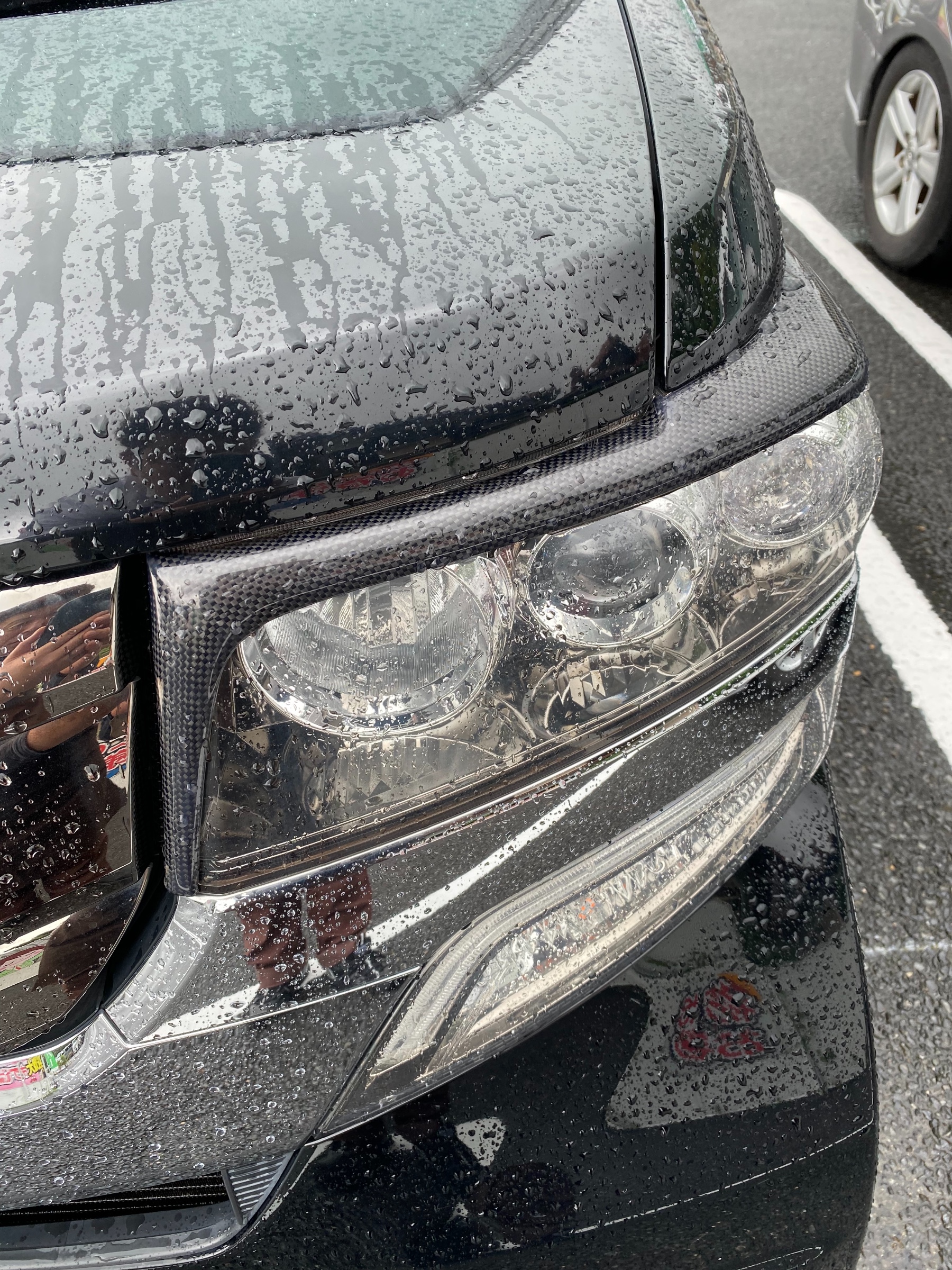 自分が撮影してます