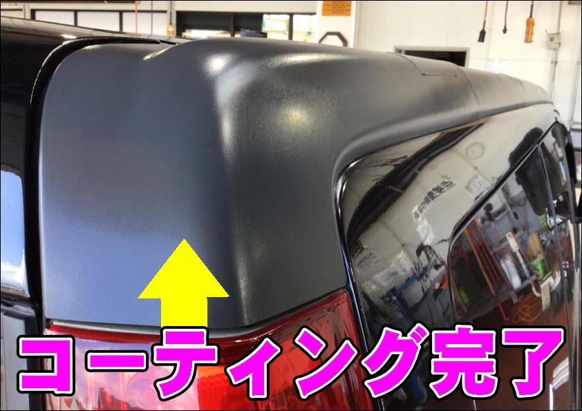 撮影写真