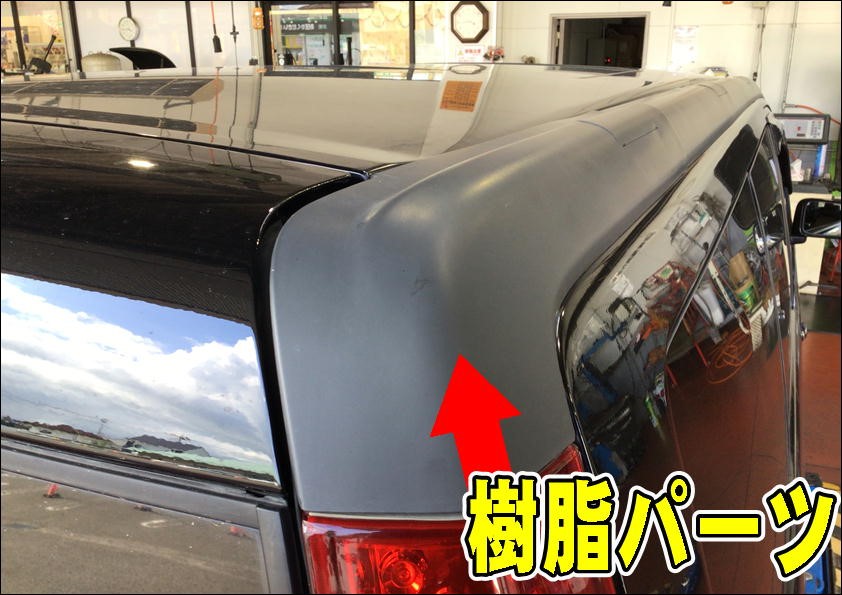 撮影写真