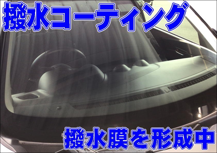 スタッフ撮影写真