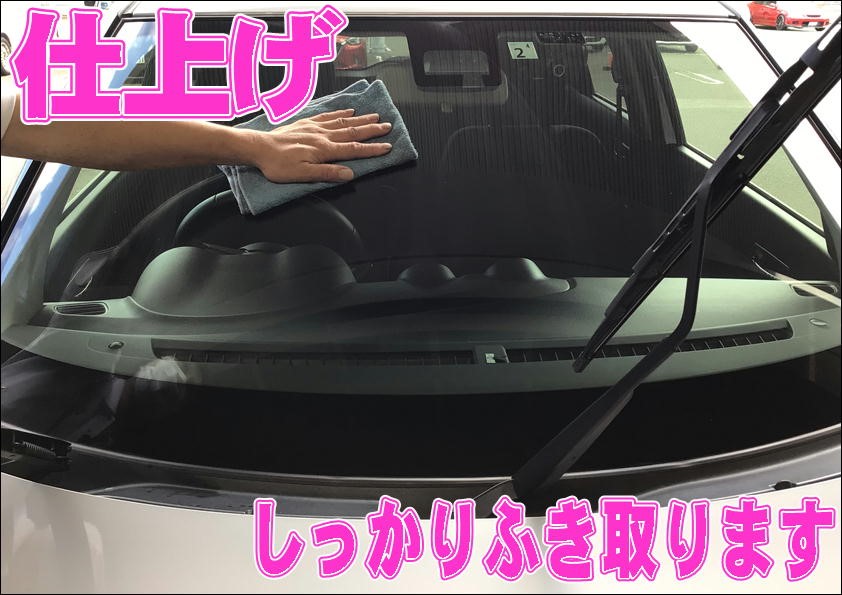 スタッフ撮影写真