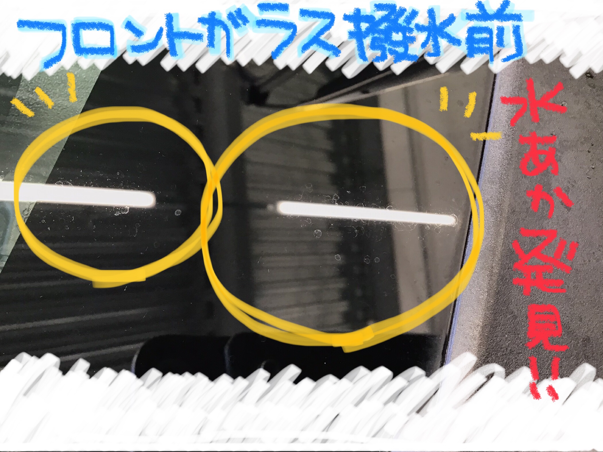 スタッフ撮影　ペイントで加工しています。
