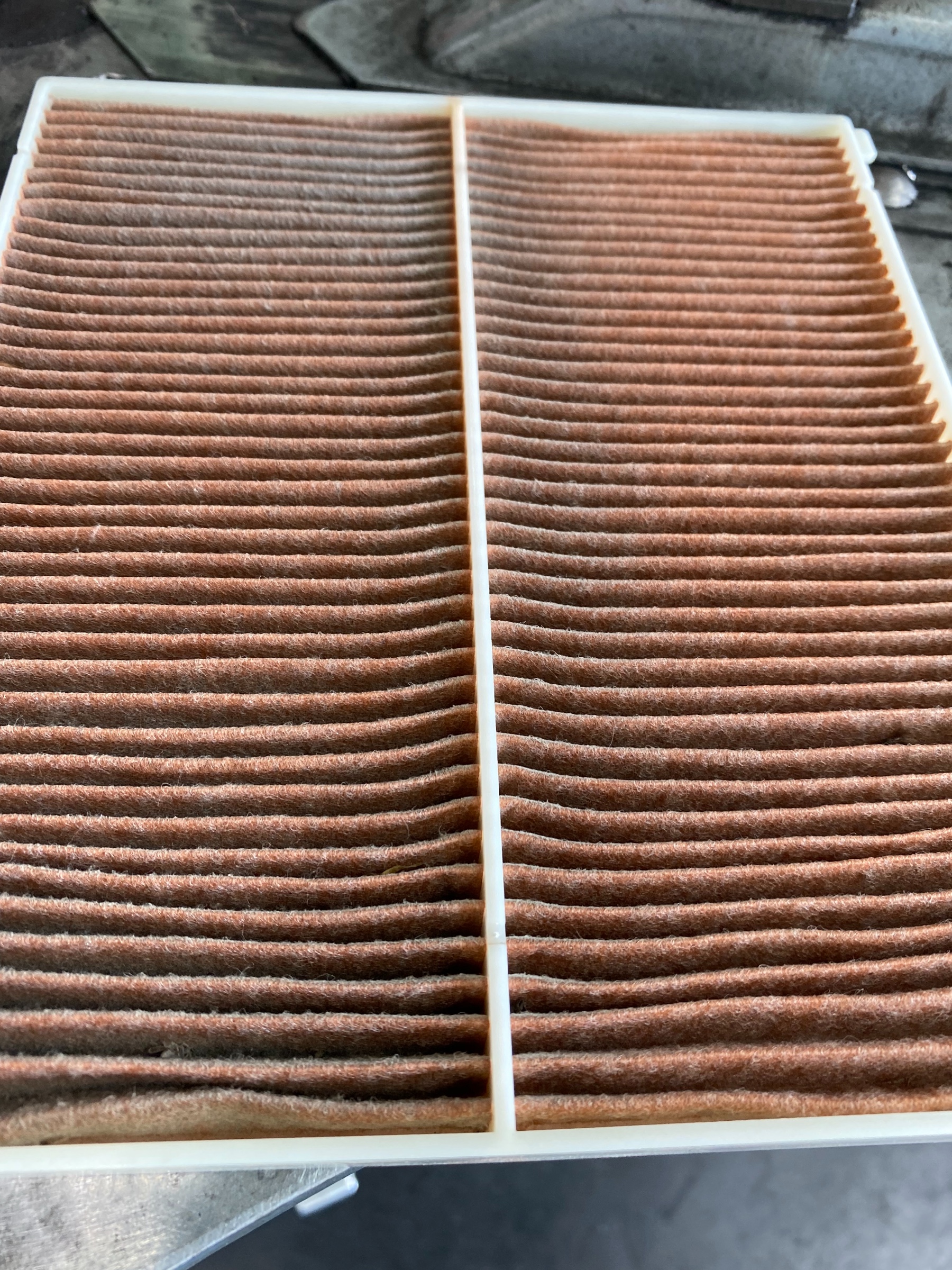 自分が撮影してます