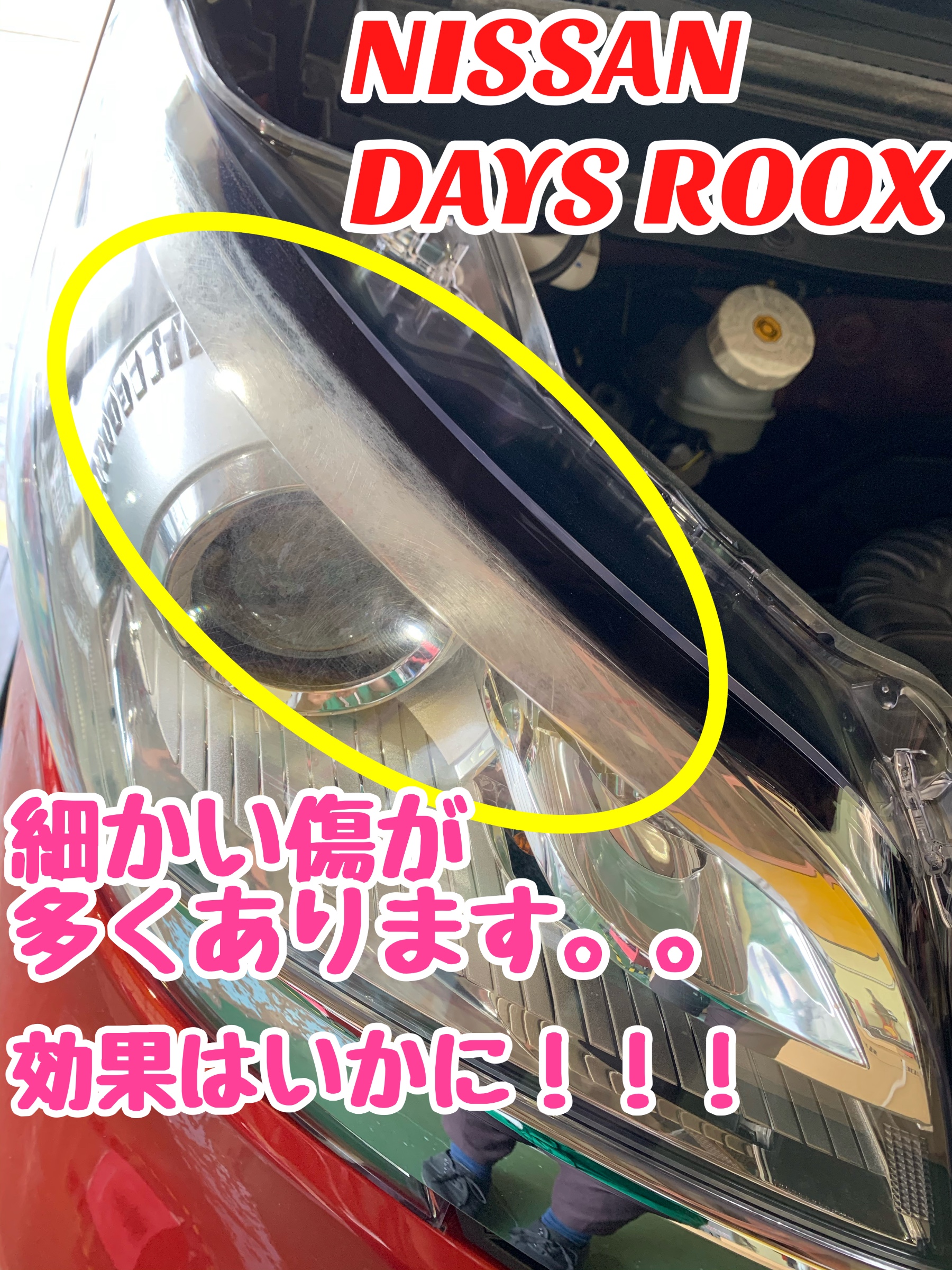スタッフが撮影加工した画像です