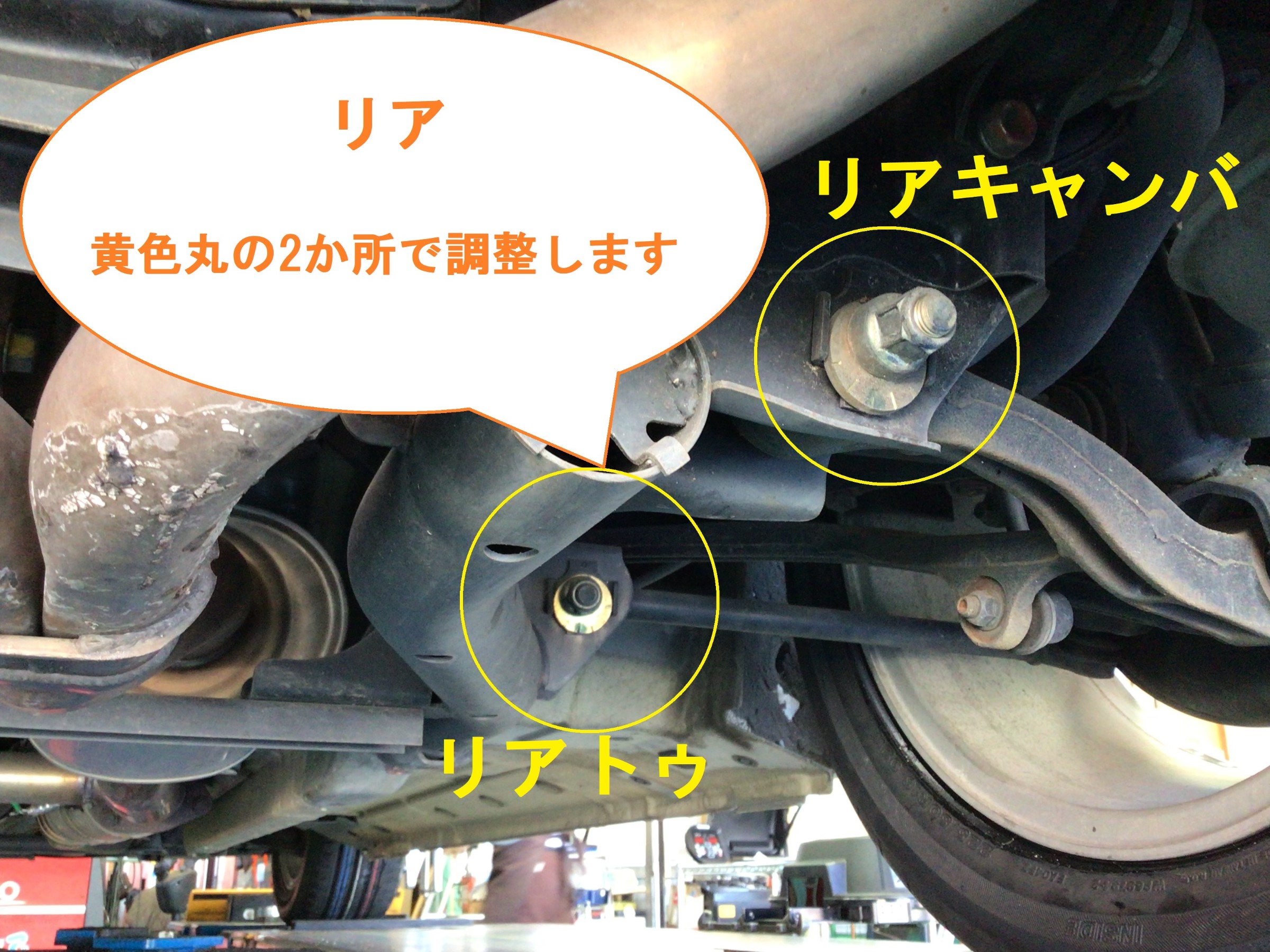 スタッフ撮影分