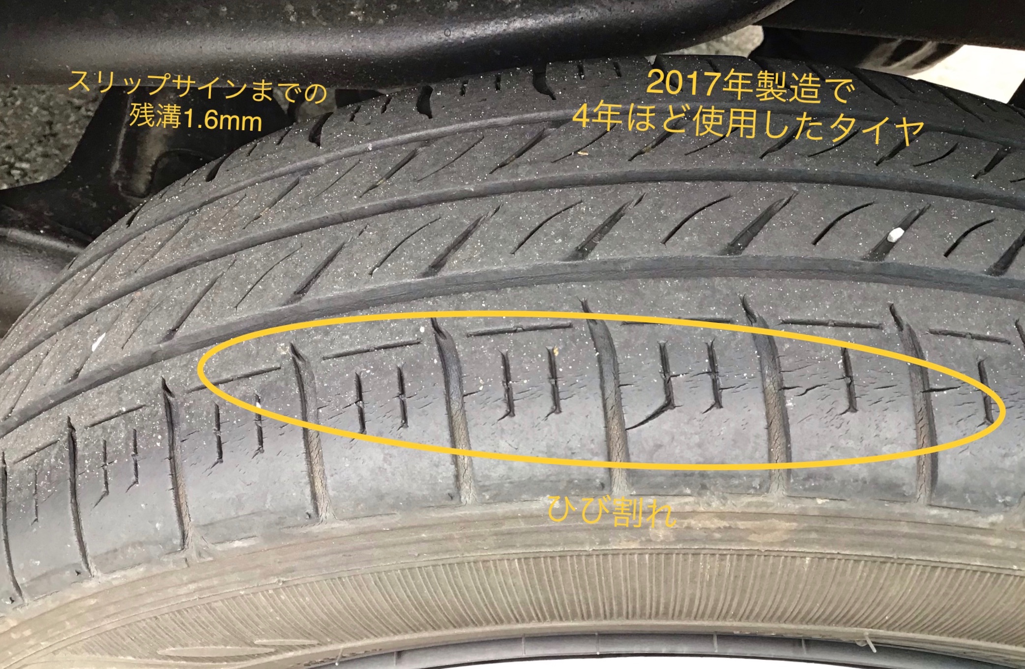 スタッフ撮影