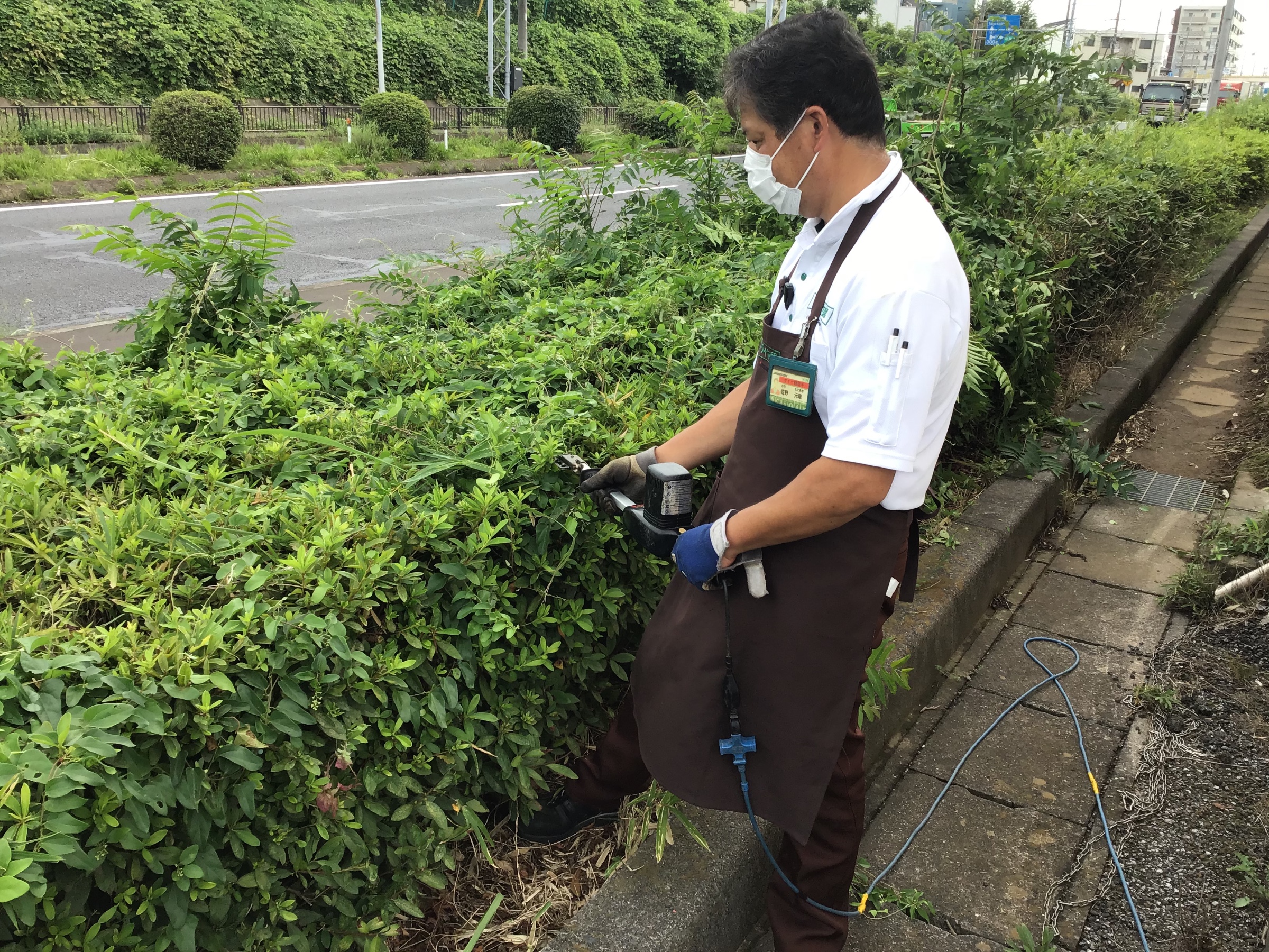 植え込みの剪定をしました スタッフ日記 タイヤ館 取手 茨城県のタイヤ カー用品ショップ タイヤからはじまる トータルカーメンテナンス タイヤ館グループ