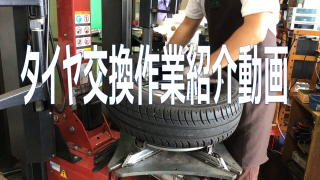 動画