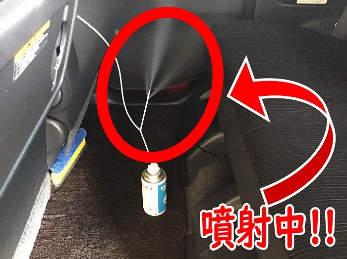 スタッフが撮影加工した画像