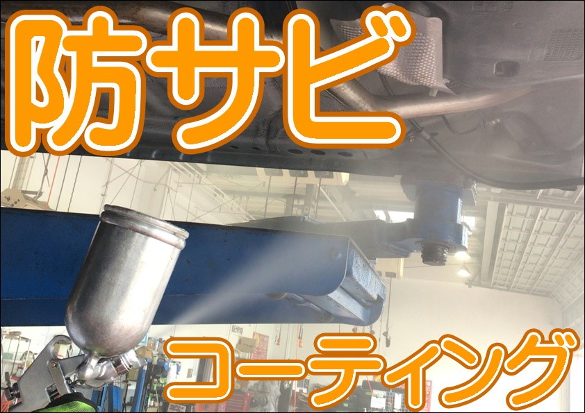 スタッフ撮影画像