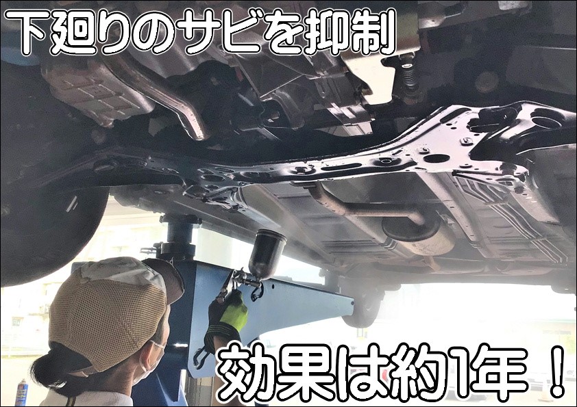 スタッフ撮影写真