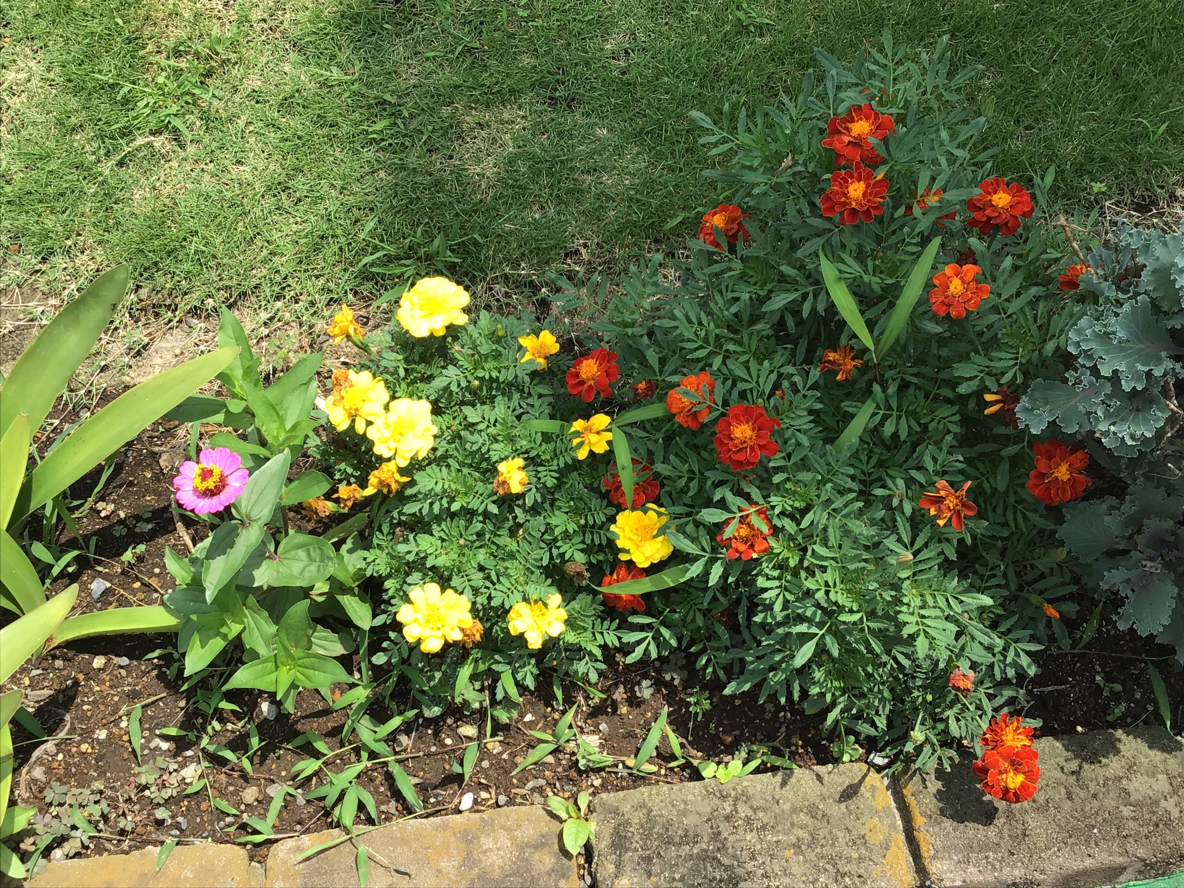 まもなく 梅雨明け スタッフ日記 タイヤ館 成瀬 タイヤからはじまる トータルカーメンテナンス タイヤ館グループ