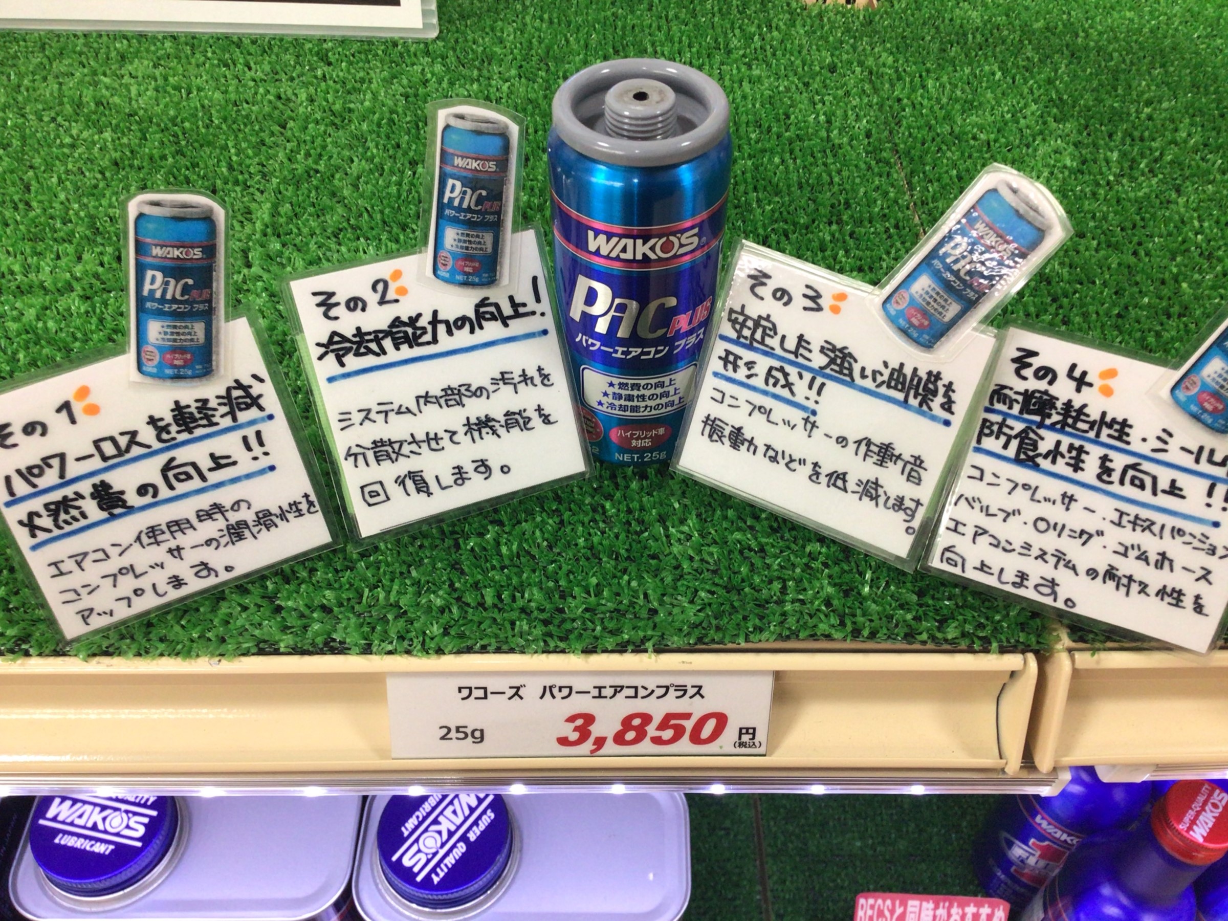 スタッフ撮影画像