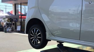 動画