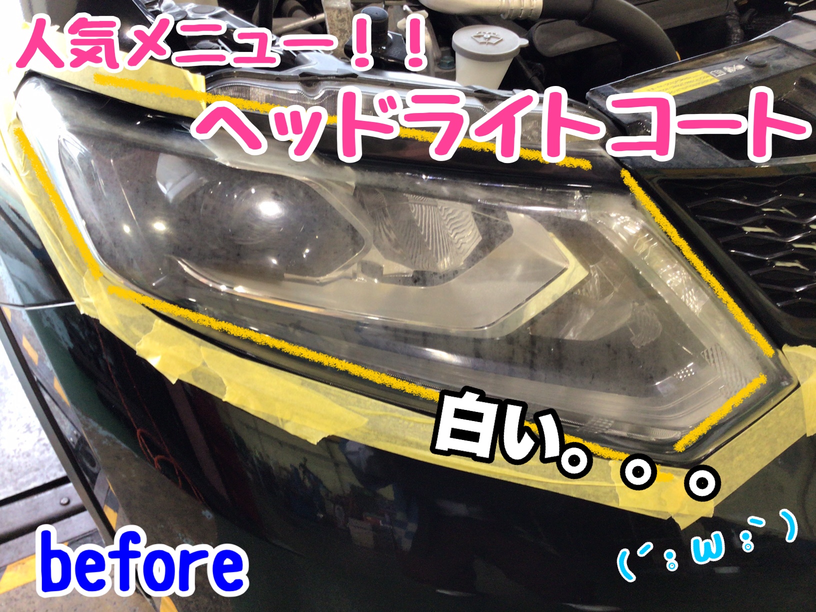 スタッフが撮影加工した画像です
