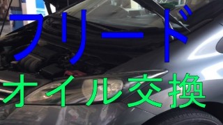動画