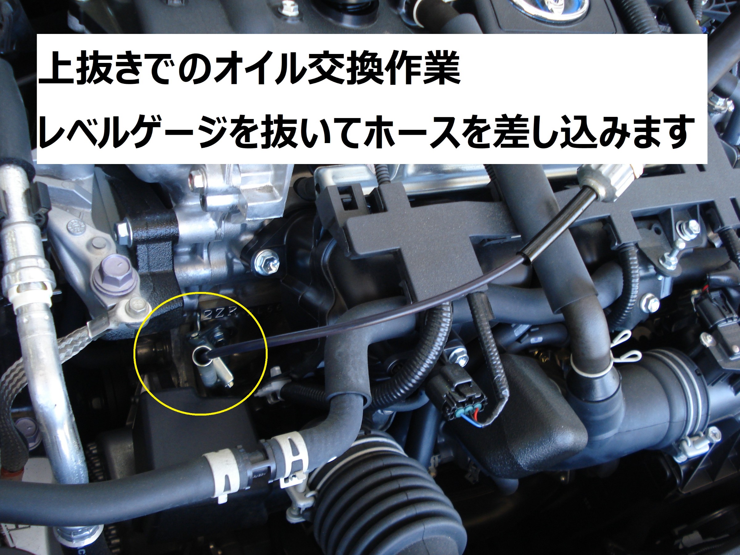 ☆【エンジンオイル交換作業】トヨタ カローラスポーツHV | トヨタ