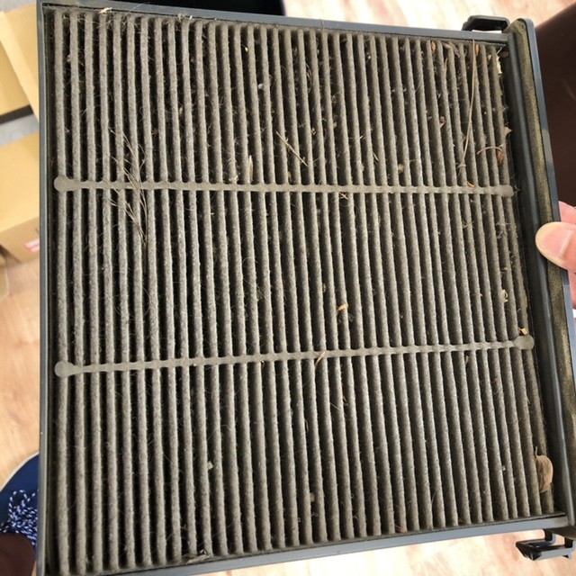 スタッフ撮影です