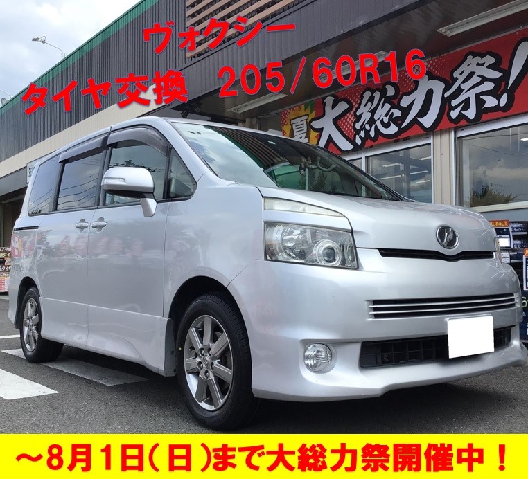 スタッフ撮影分