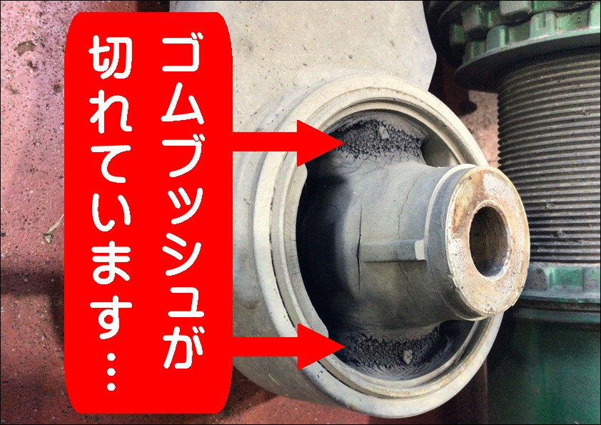 スタッフ撮影画像