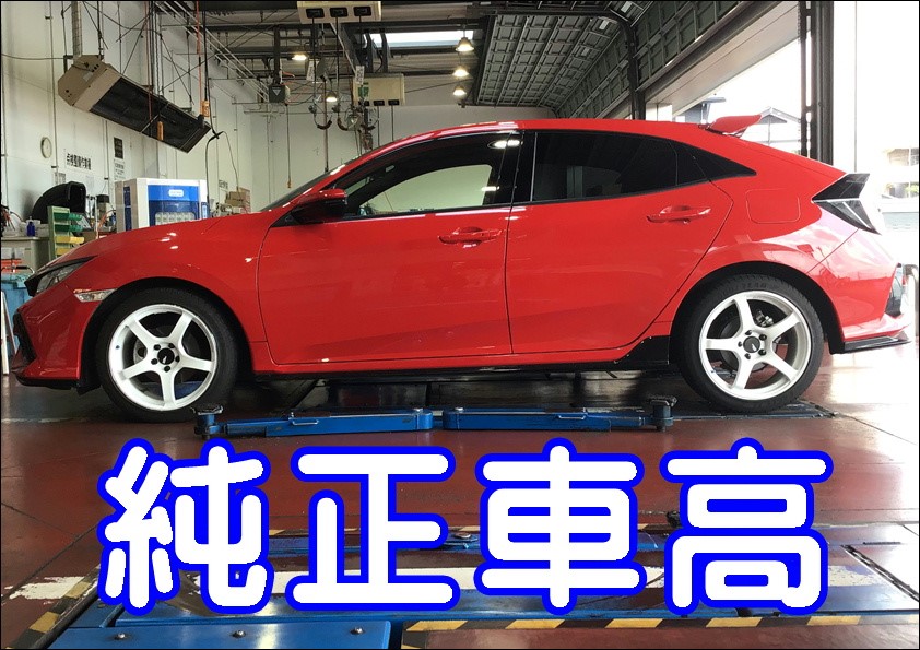 スタッフ撮影画像
